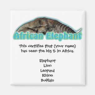 Imán Grandes imanes de safari para la vida salvaje en Á