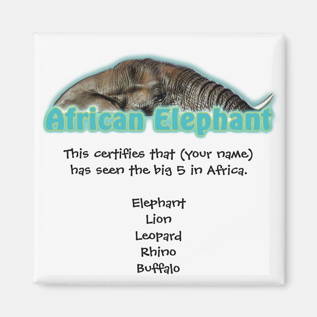 Imán Grandes imanes de safari para la vida salvaje en Á (Frente)