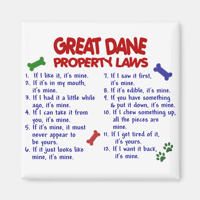 Imán GRANDES LEYES DE DANE SOBRE LA Propiedad 2 (Frente)