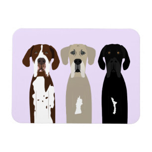 Imán Grandes perros daneses