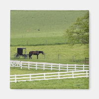 granja Amish con caballo y carruaje cerca de Berlí