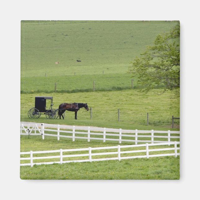Imán granja Amish con caballo y carruaje cerca de Berlí (Frente)