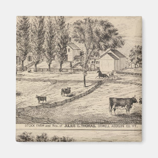 Imán Granja de ganado en Orwell Vermont