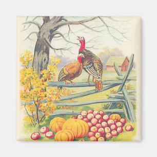 Imán Granja de Pavos Calabaza Manzanas Árbol Hojas de O