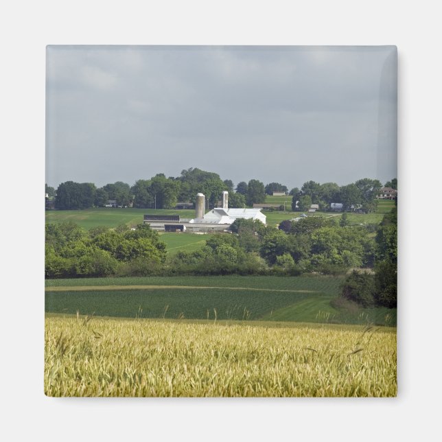 Imán Granja rural (Frente)