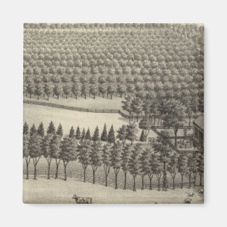Imán Granja sin amor, Nebraska