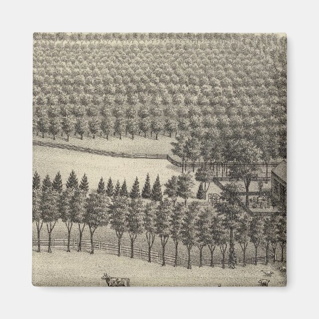 Imán Granja sin amor, Nebraska (Frente)