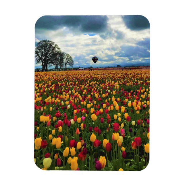Imán Granja Tulip en Oregón (Vertical)