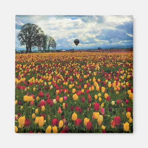 Imán Granja Tulip en Oregón