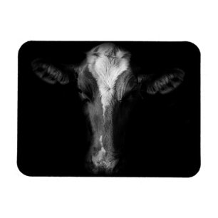 Imán Granjas Captura de cabeza de vaca de B&W