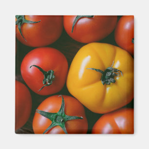Imán Granjas Tomates rojos y amarillos brillantes