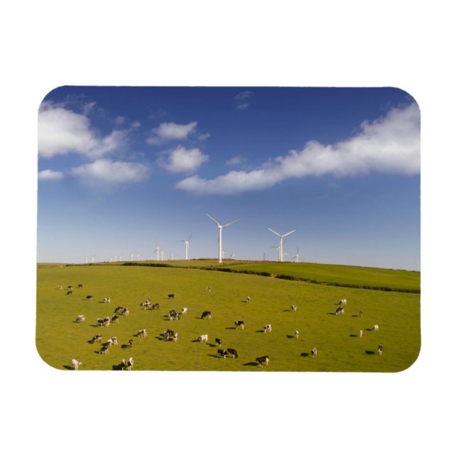 Imán Granjas | Vacas Cercanas A La Granja De Molino De  (Horizontal)