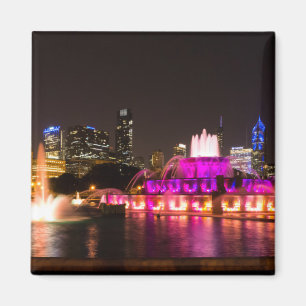 Imán Grant Park Chicago