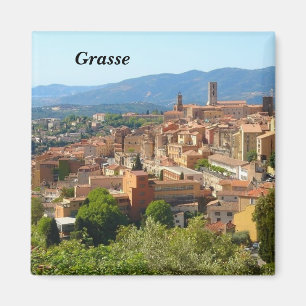Imán Grasa -