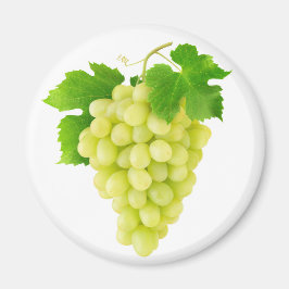 Imán Grasa blanca