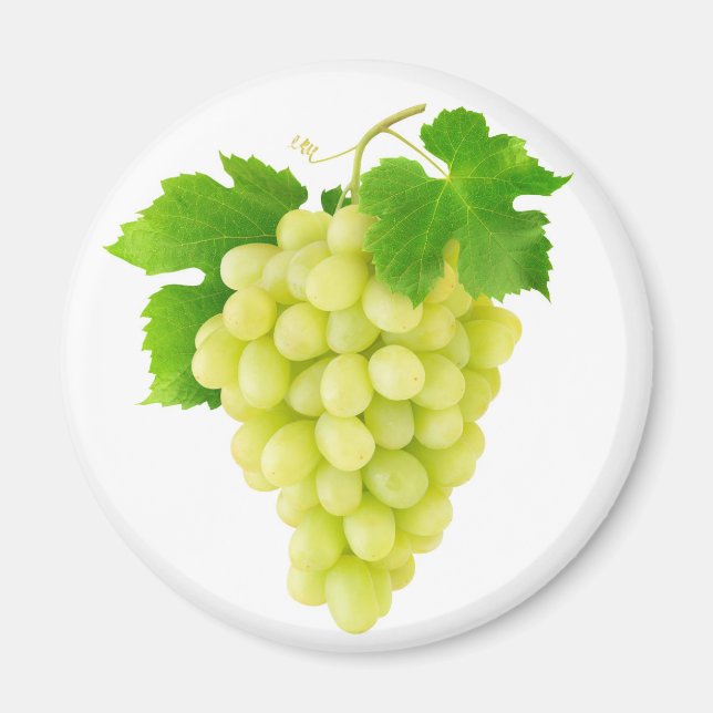 Imán Grasa blanca (Frente)
