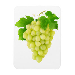 Imán Grasa blanca