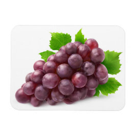 Imán Grasa roja