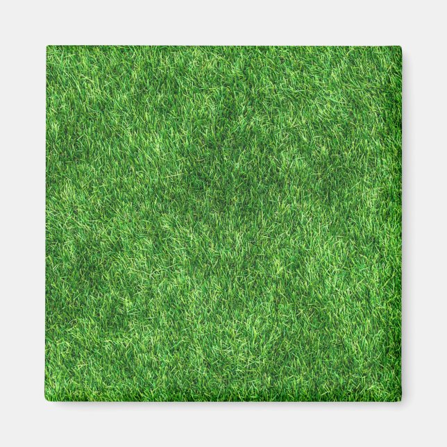 Imán Grasa verde (Frente)