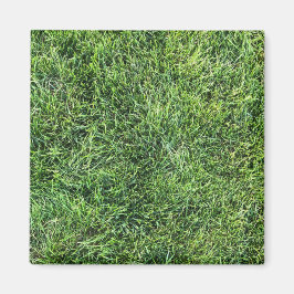 Imán Grasa verde divertido patrón de textura foto real