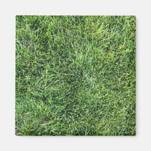Imán Grasa verde divertido patrón de textura foto real
