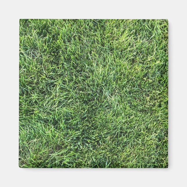 Imán Grasa verde divertido patrón de textura foto real (Frente)