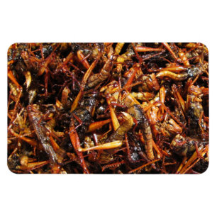 Imán Grasas fritas (Takkataen Thot) Comida asiática