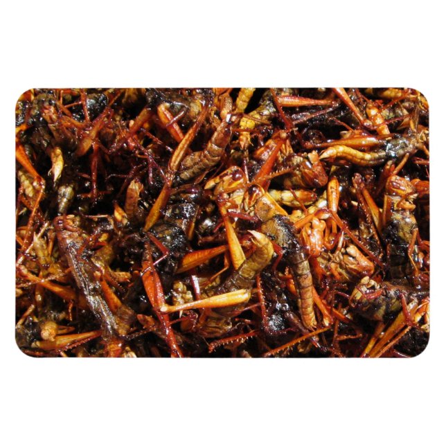 Imán Grasas fritas (Takkataen Thot) Comida asiática (Horizontal)