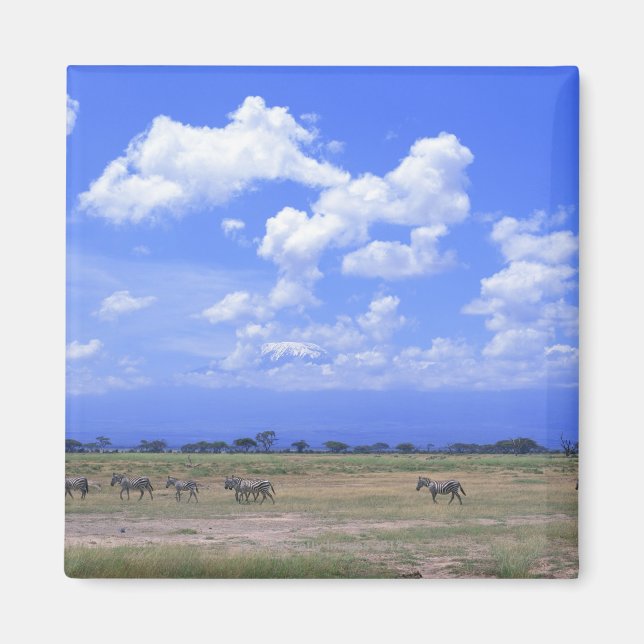 Imán Grassy Plain (Frente)