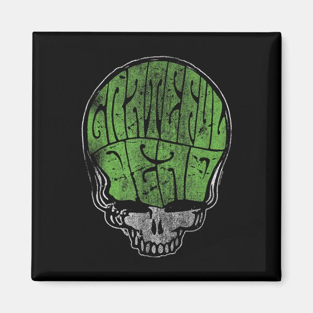 Imán Grateful Dead Psychedelic Green Stealie Skull Vint (Frente)
