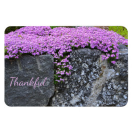 Imán Gratitud de Rock Garden