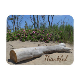 Imán Gratitude Seashore