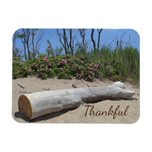 Imán Gratitude Seashore
