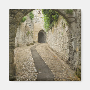 Imán Gray Cobblestone street, Francia