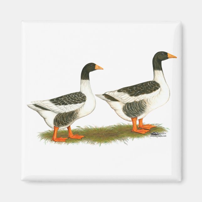Imán Gray Saddleback Geese (Frente)