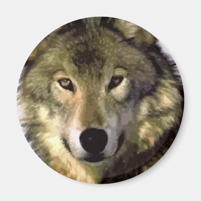 Imán Gray Wolf (Frente)