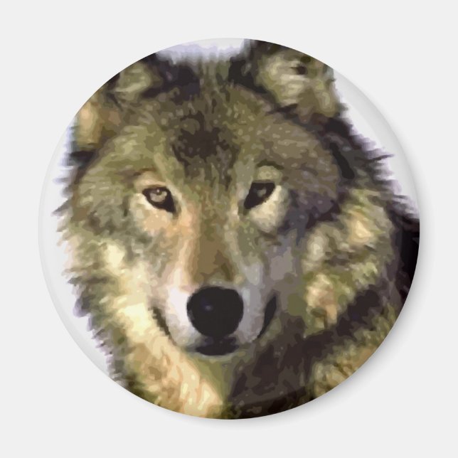 Imán Gray Wolf (Frente)