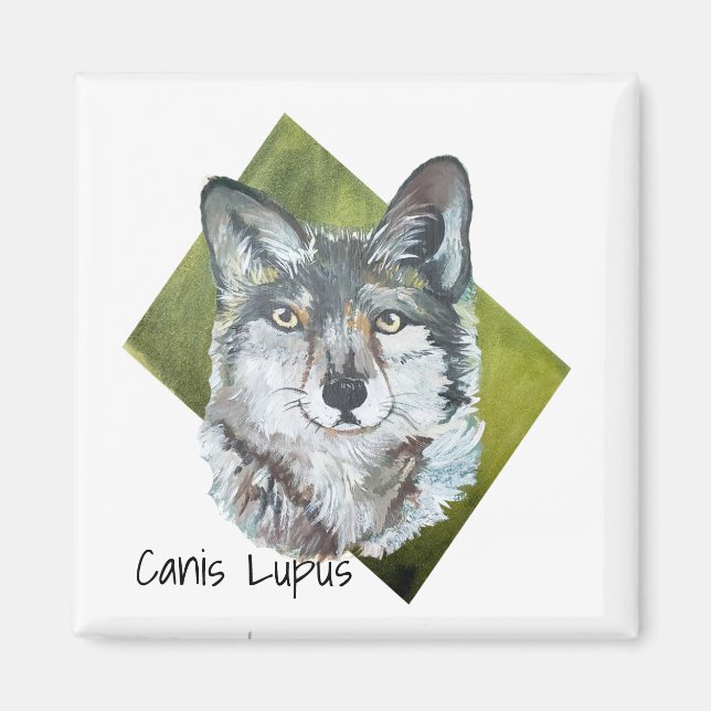 Imán Gray Wolf Canis Lupus sobre el verde (Frente)