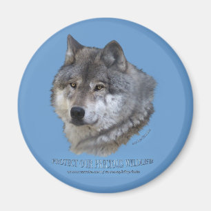 Imán GRAY WOLF HEAD Magnet