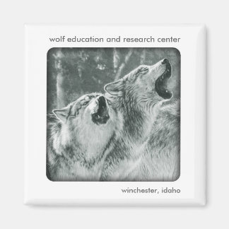 Imán Gray Wolf Magnet
