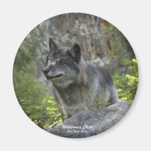 Imán Gray Wolf Wildlife PhotoMagnet