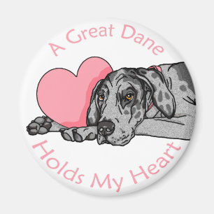 Imán Great dane lleva a cabo el corazón Merle UC