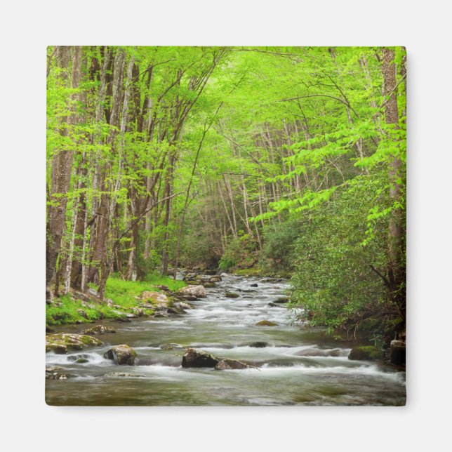 Imán Great Smoky Mountains National Park North Carolina (Frente)