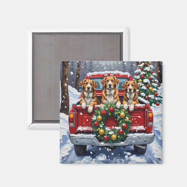 Imán Greater Swiss Mountain Dog Christmas Red Truck (Anverso/Reverso)