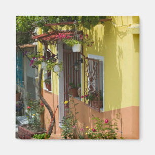 Imán GRECIA, Islas del Egeo Nororiental, LESVOS