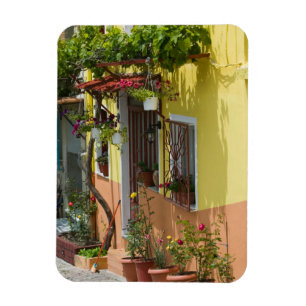 Imán GRECIA, Islas del Noreste del Egeo, LESVOS