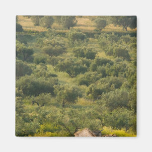 Imán GRECIA, Islas Jónicas, KEFALONIA, Havriata: