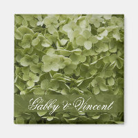 Green Annabelle Hydrangea Boda Floral