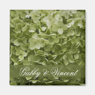 Imán Green Annabelle Hydrangea Boda Floral