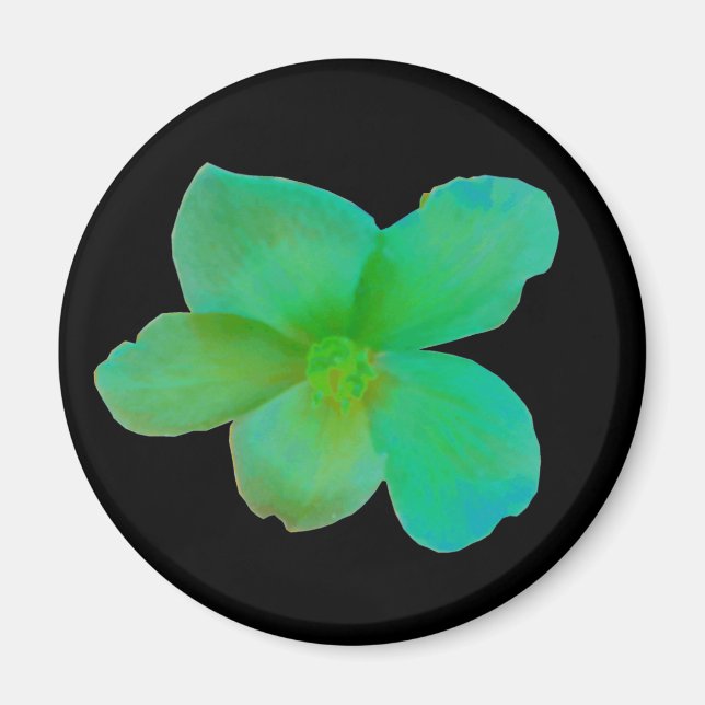 Imán Green Begonia Magnet (Frente)